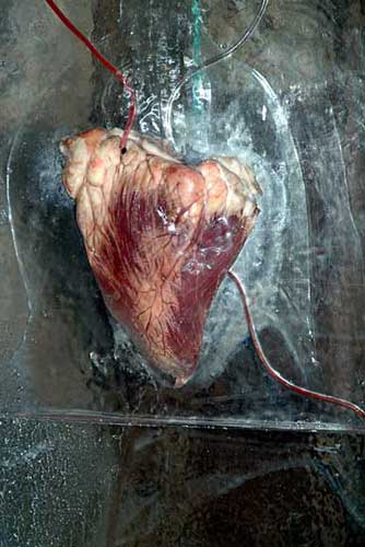 The Derelict Sensation